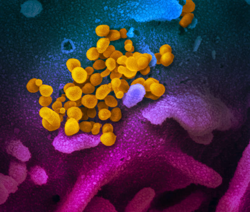 Disease X: Placeholder infectious disease name from the World Health Organization