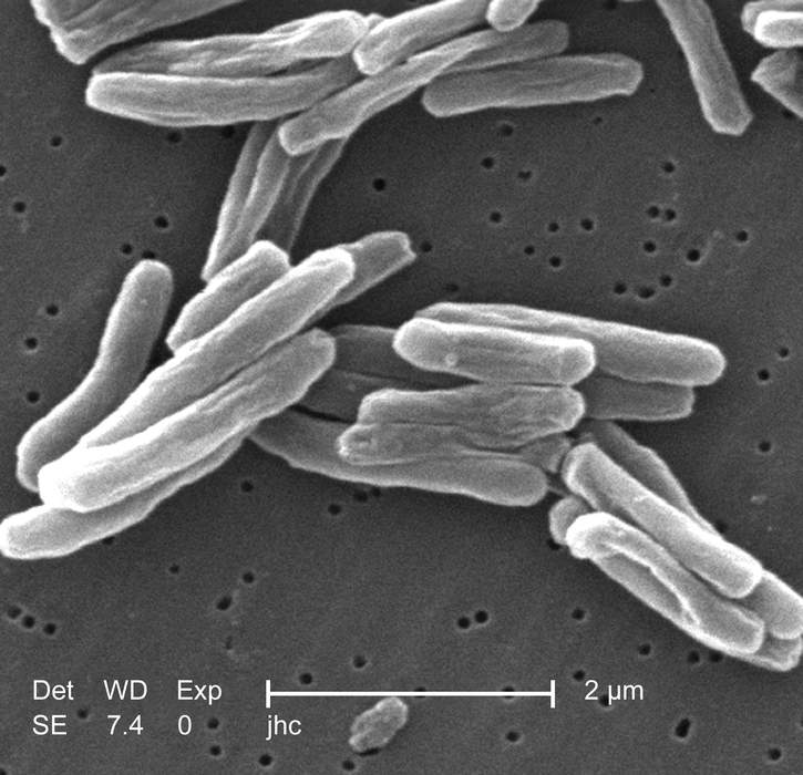 Disease: Condition negatively affecting an organism