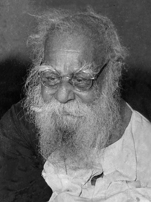 Periyar: Indian social activist and advocate of Dravidian movement