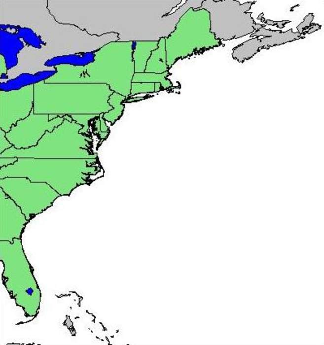 East Coast of the United States: Atlantic coastal region of the United States