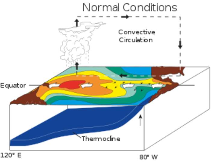 El Niño: Warm phase of a cyclic climatic phenomenon in the Pacific Ocean