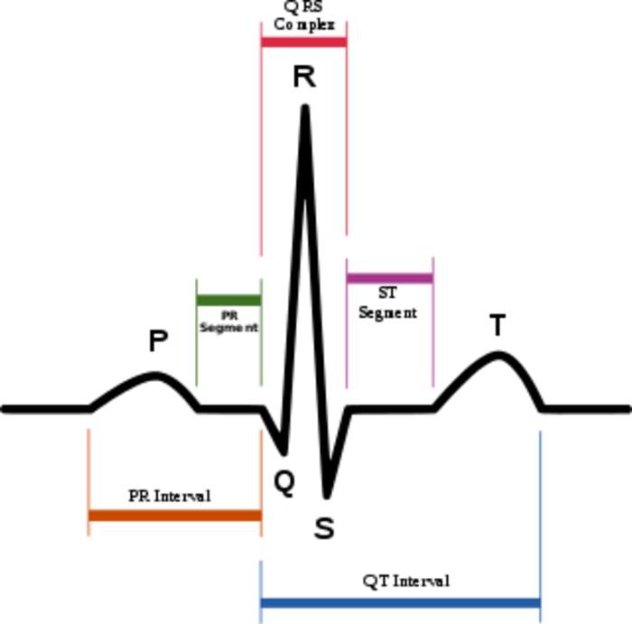 Electrocardiography: Examination of the heart's electrical activity