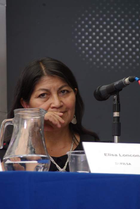 Elisa Loncón: Indigenous leader in Chile
