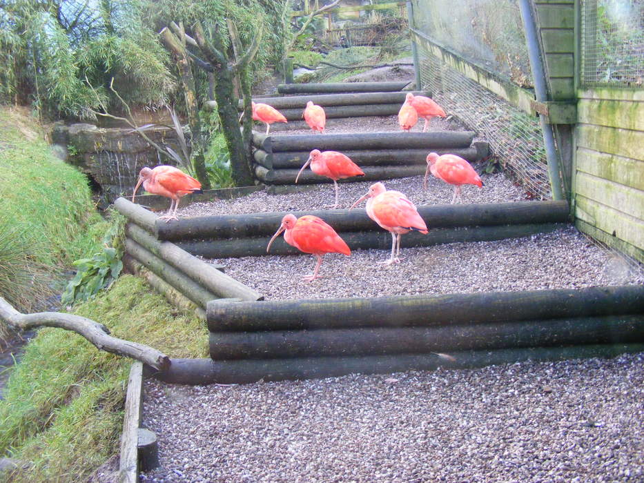Exmoor Zoo: Zoo in Exmoor, North Devon, England