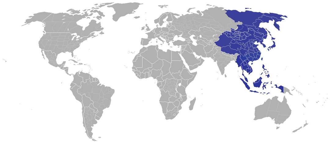 Far East: Geographical term for eastern Asia