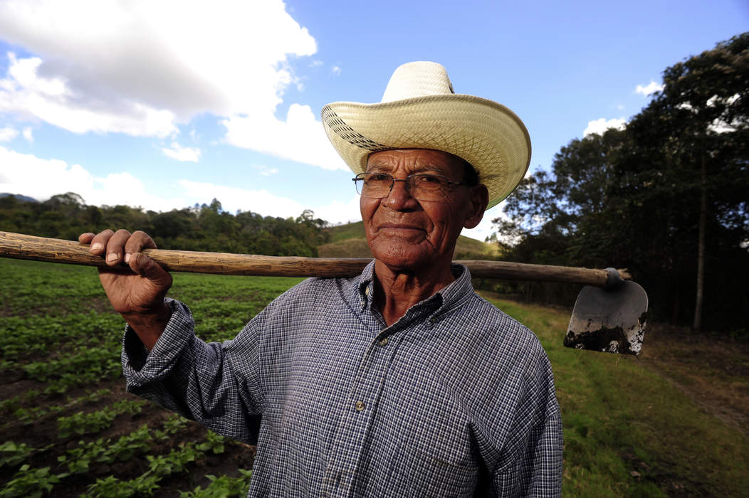 Farmer: Person engaged in agriculture, raising living organisms for food or raw materials