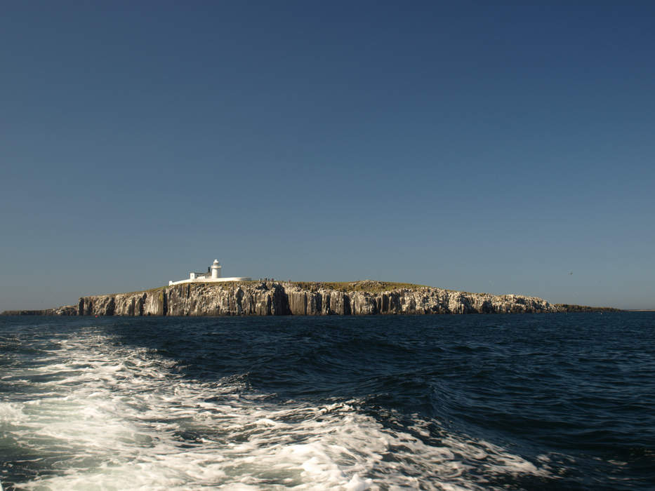 Farne Islands: Island group off Northumberland, England