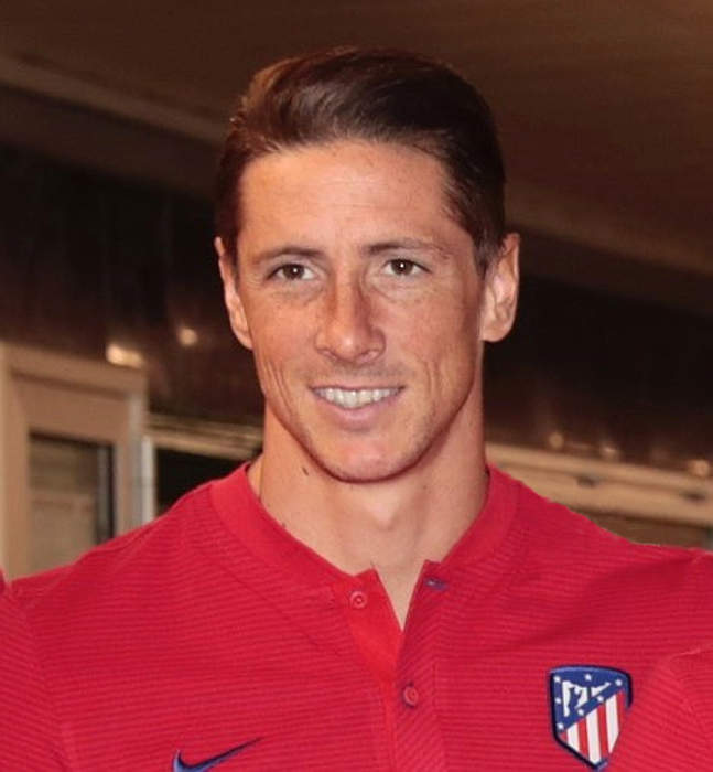 Fernando Torres: Spanish association football player