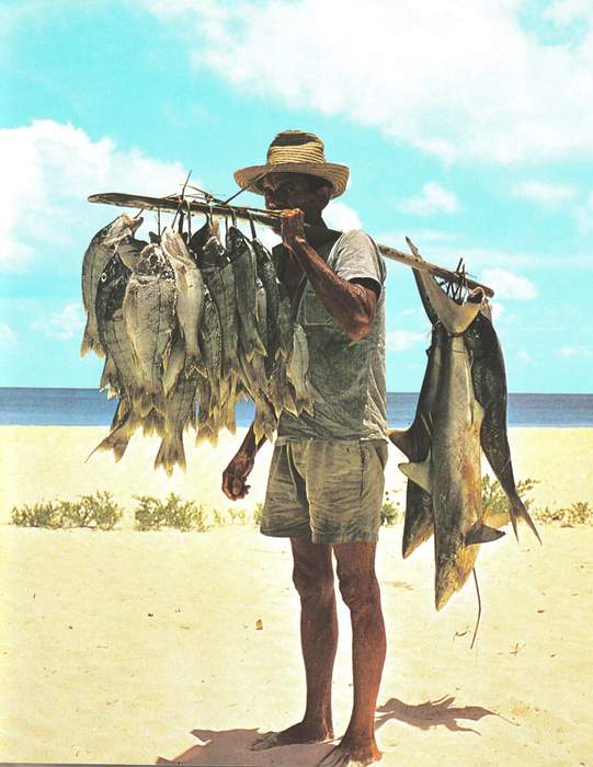Fisherman: Person who takes fish and sells or trade it