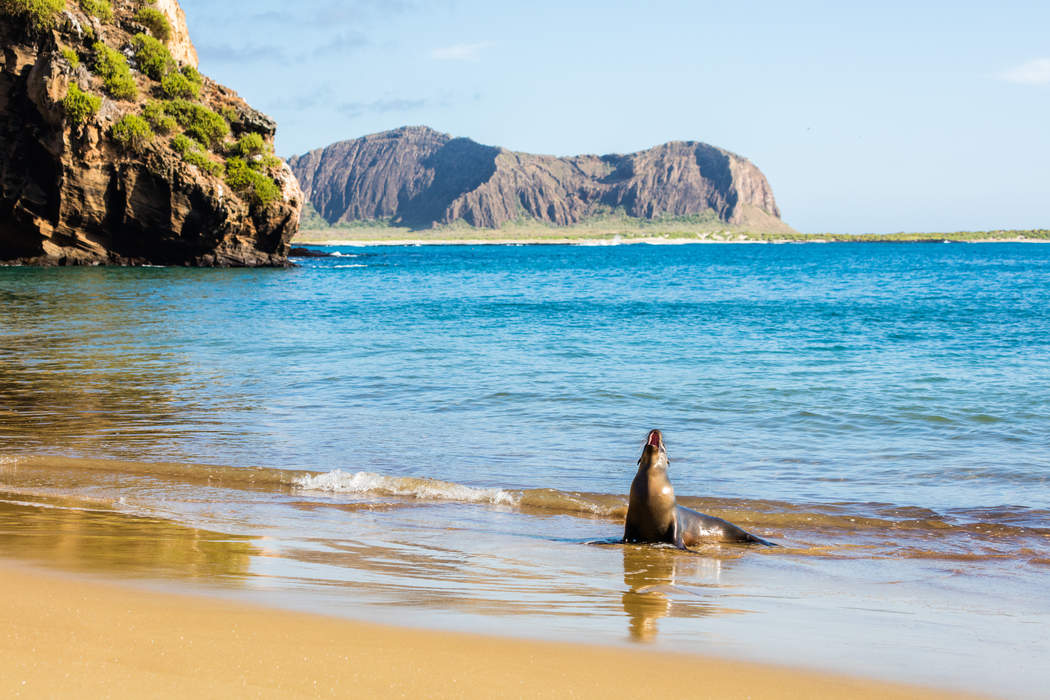 Galápagos Islands: Ecuadorean archipelago and protected area