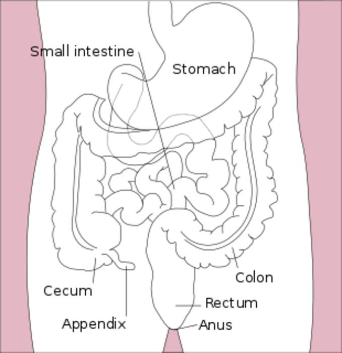 Gastroenterology: Branch of medicine focused on the digestive system and its disorders