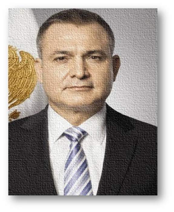 Genaro García Luna: Mexican politician