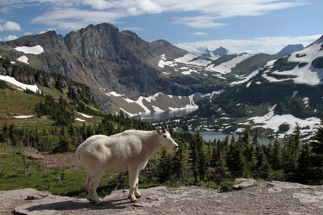 Glacier National Park (U.S.): Park in Montana on the Canadian border