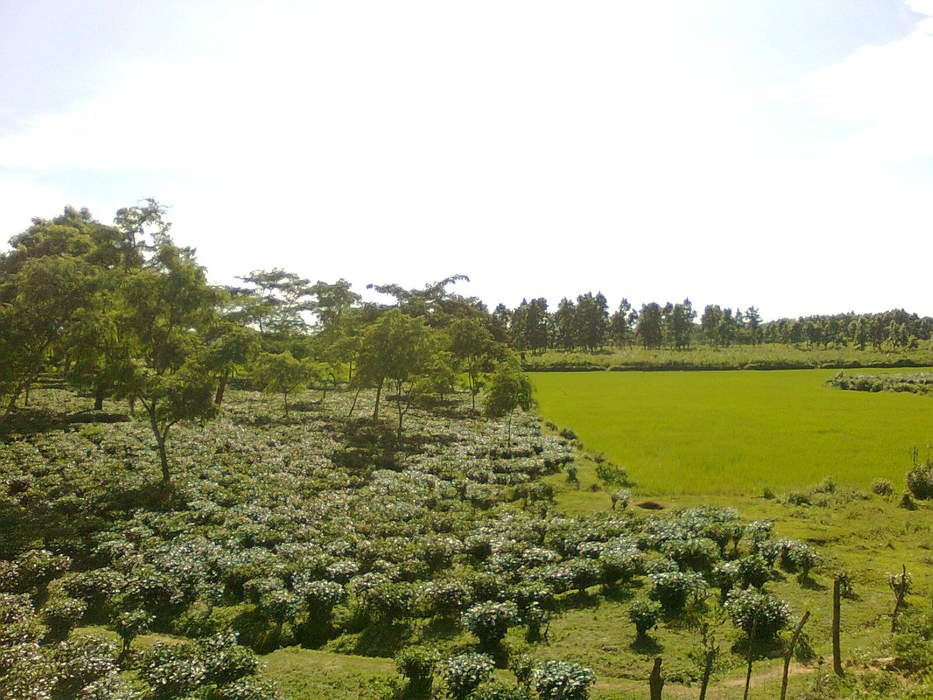 Goalpara district: District of Assam in India