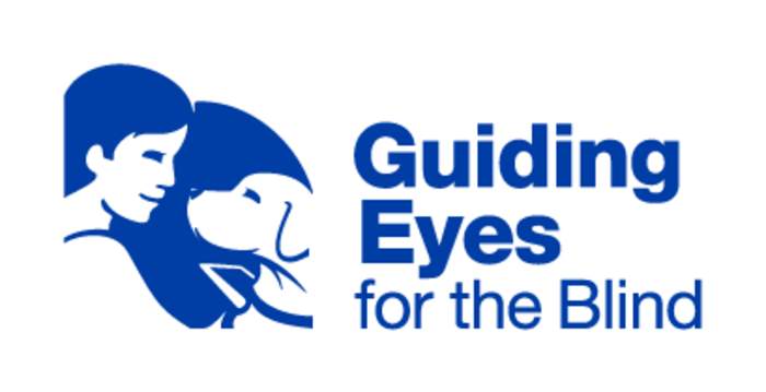 Guiding Eyes for the Blind: 