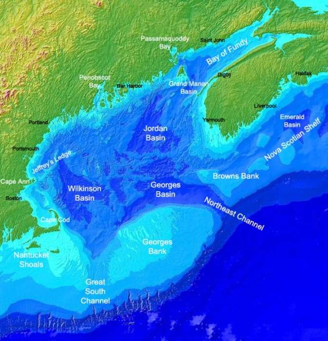 Gulf of Maine: Large gulf of the Atlantic Ocean on the east coast of North America