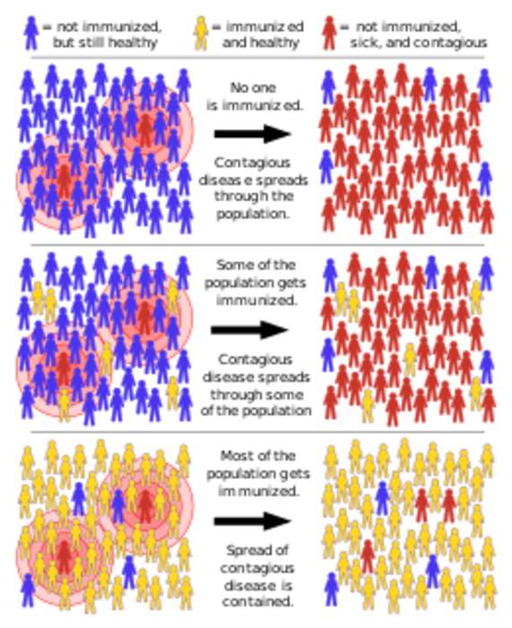 Herd immunity: Concept in epidemiology