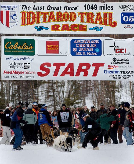 Iditarod Trail Sled Dog Race: Trail Sled Dog Race in Alaska