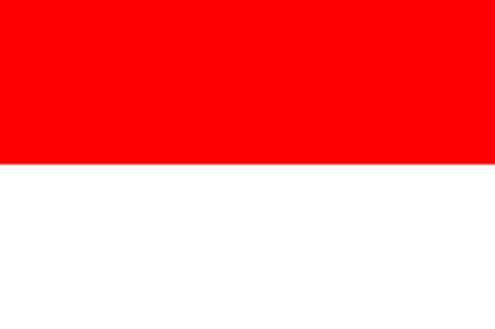 Indonesians: Citizens or people of Indonesia