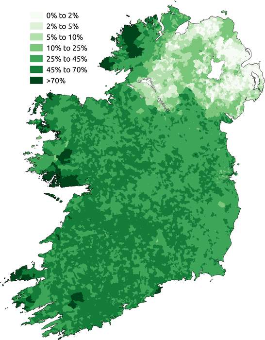 Irish language: Language native to Ireland