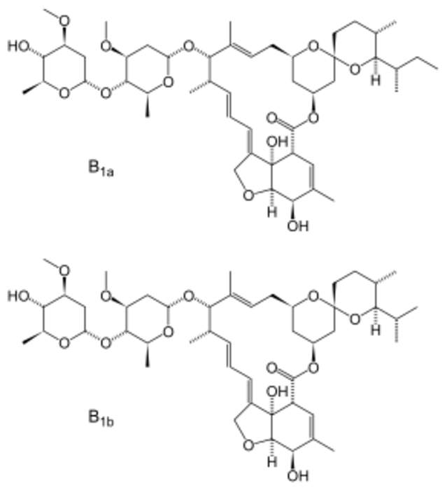 Ivermectin: Medication for parasite infestations