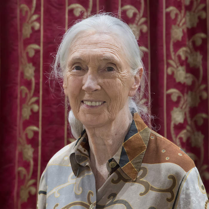 Jane Goodall: English primatologist and anthropologist (born 1934)