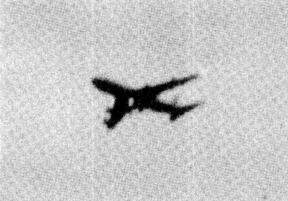 Japan Air Lines Flight 123: 1985 plane crash in Japan