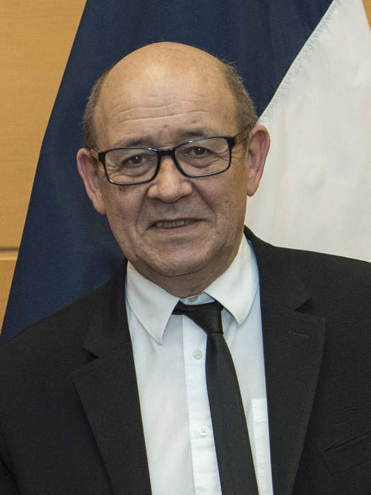 Jean-Yves Le Drian: French politician (born 1947)
