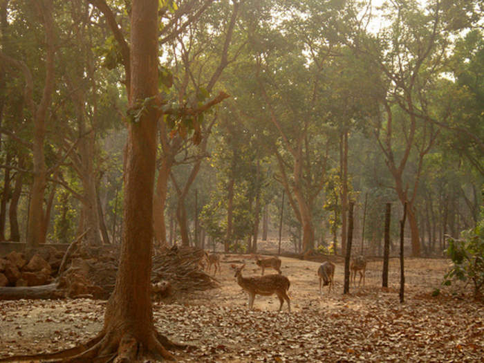 Jhargram: City in West Bengal, India