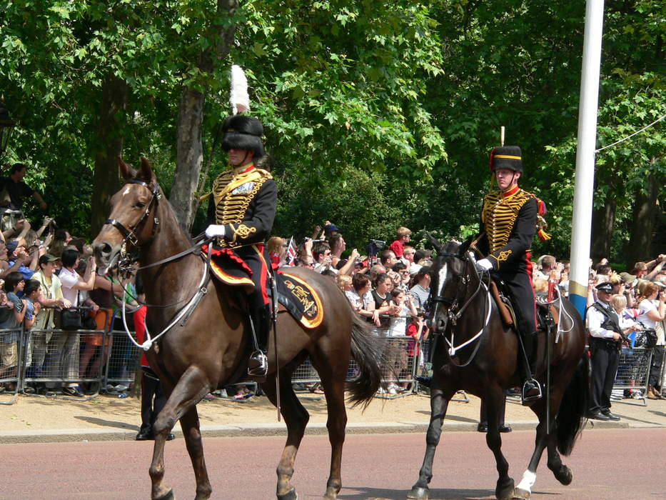 King's Troop, Royal Horse Artillery: Ceremonial mounted unit of the British Army