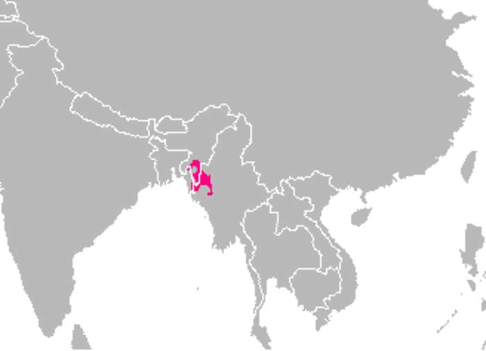 Kuki people: Ethnic group in India, Bangladesh, and Myanmar