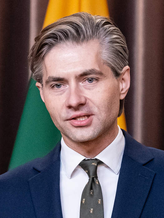 Kęstutis Budrys: Lithuanian politician (born 1980)