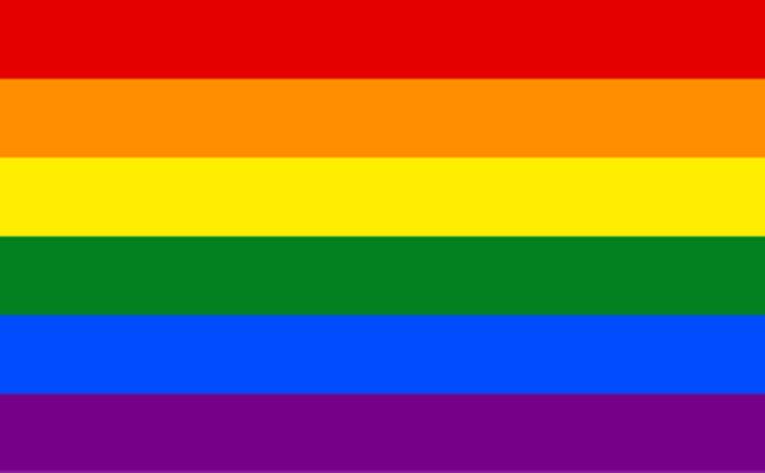 LGBTQ (term): Initialism for 