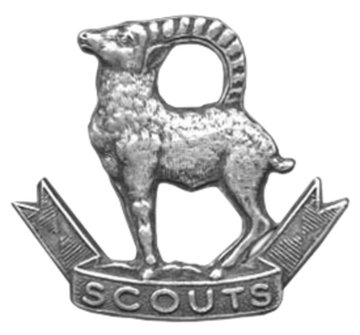 Ladakh Scouts: Infantry regiment of the Indian Army