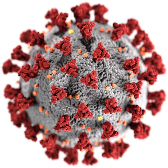 SARS-CoV-2 Alpha variant: Variant of SARS-CoV-2, the virus that causes COVID-19