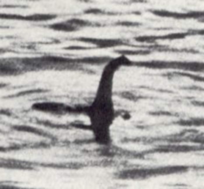 Loch Ness Monster: Alleged creature in Scotland