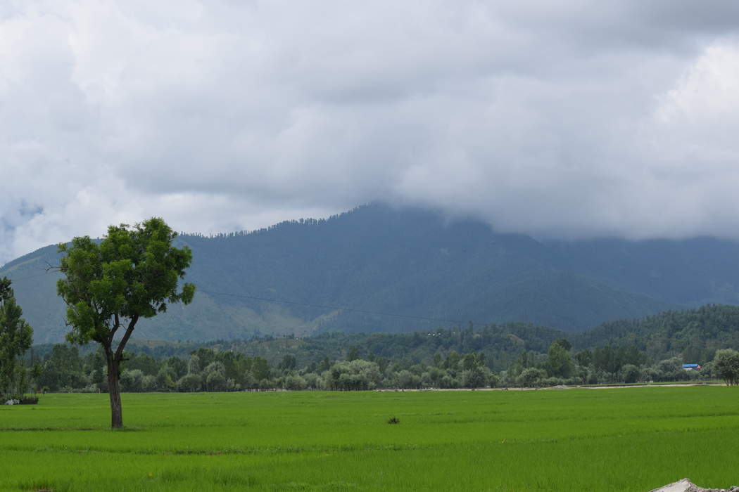 Lolab Valley: Valley in Kupwara, Jammu and Kashmir