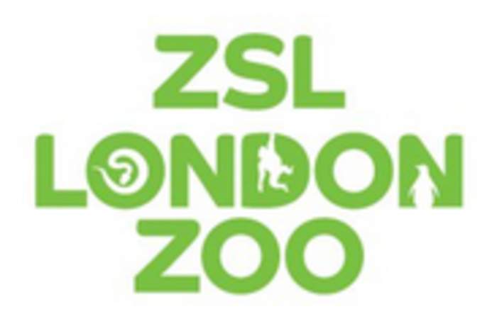 London Zoo: World's oldest scientific zoo, in London, England