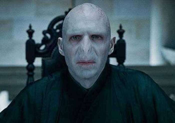 Lord Voldemort: Fictional character from Harry Potter