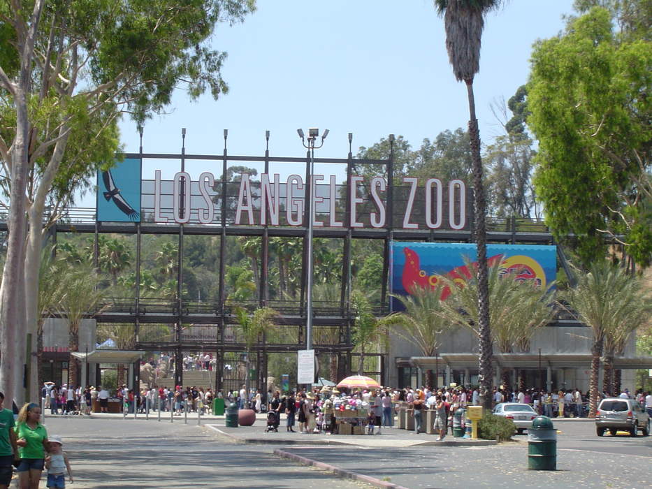 Los Angeles Zoo: Public zoo and botanical garden