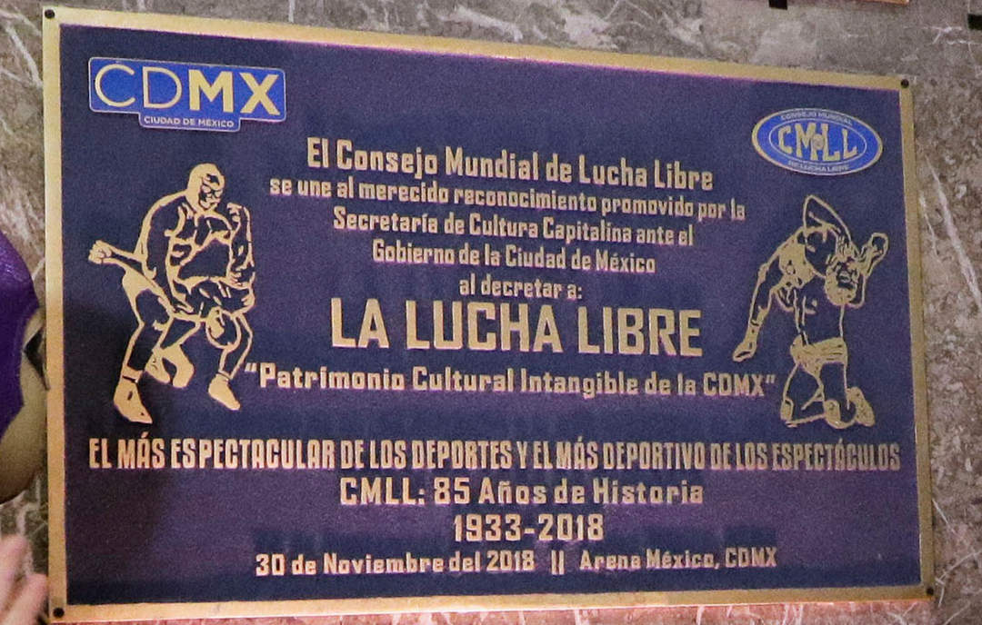 Lucha libre: Mexican style professional wrestling