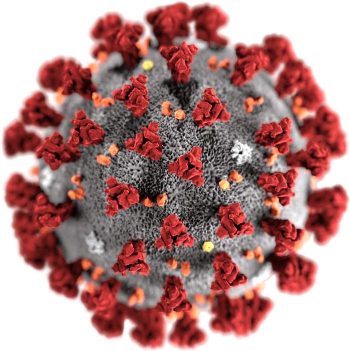 Moderna COVID-19 vaccine: RNA COVID-19 vaccine