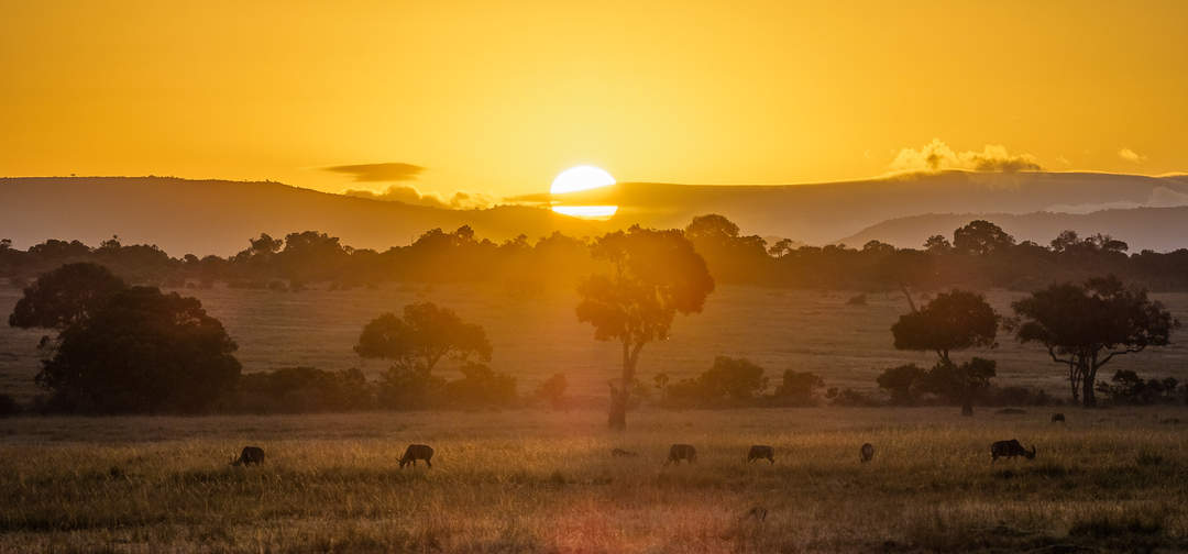 Maasai Mara: National Reserve in Narok County, Kenya