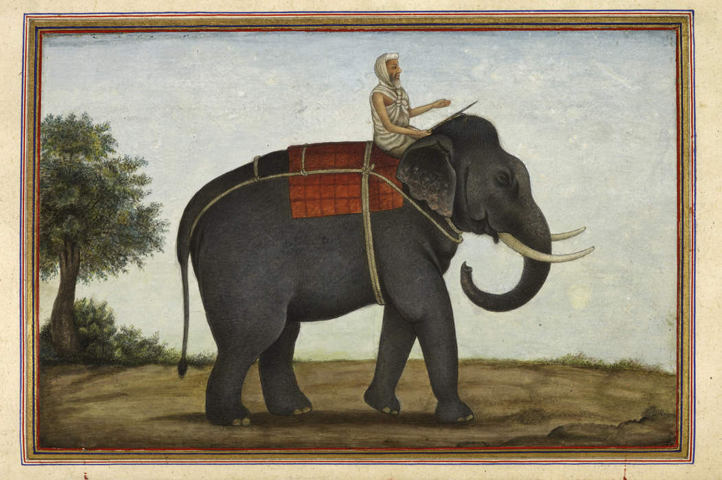 Mahout: Elephant rider, trainer, or keeper