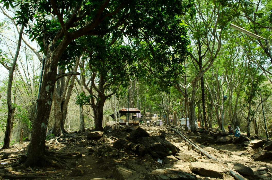 Malayattoor: Village in Kerala, India
