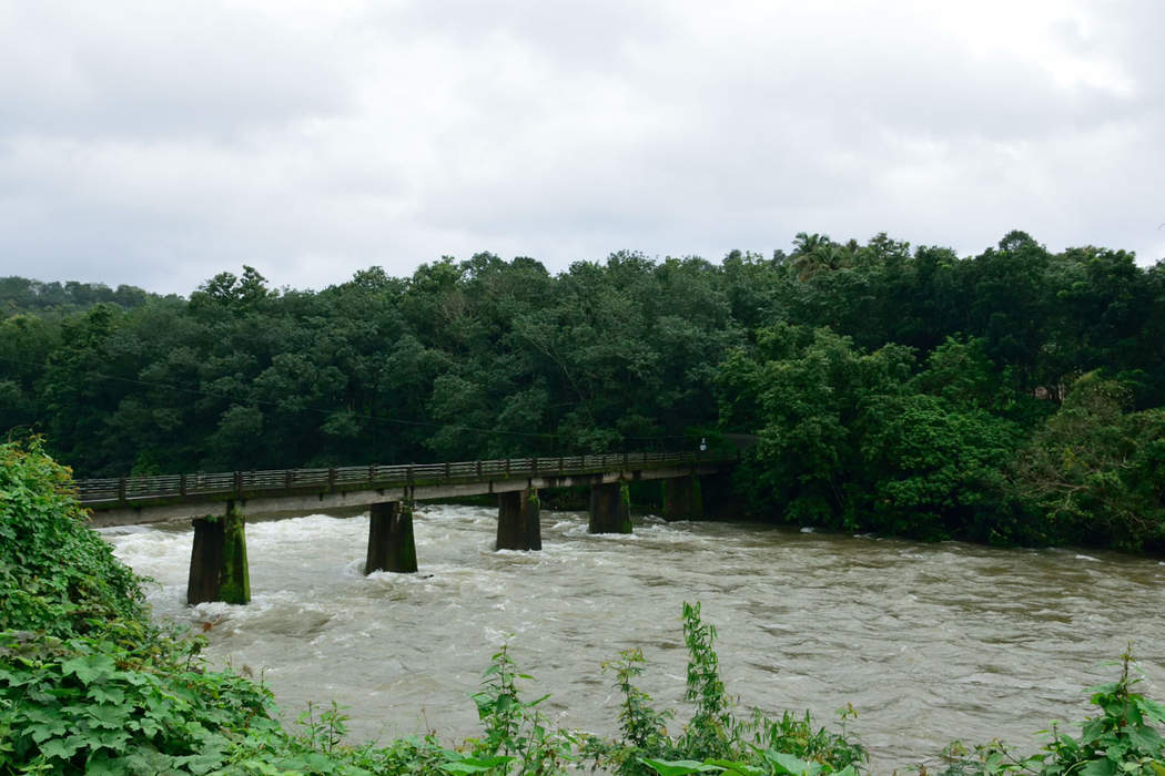 Manimala River: River in India