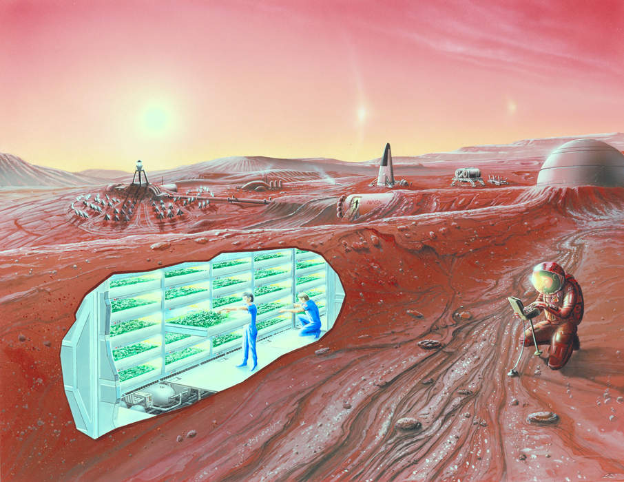 Martian: Extraterrestrial inhabitant