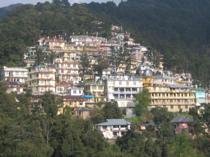 McLeod Ganj: Surbhi in Himachal Pradesh, India