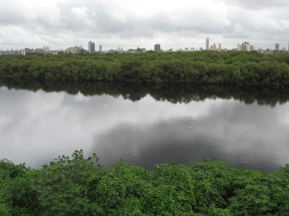 Mithi River: River in Mumbai, India