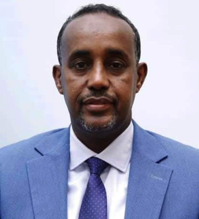 Mohamed Hussein Roble: Prime Minister of Somalia (born 1963)